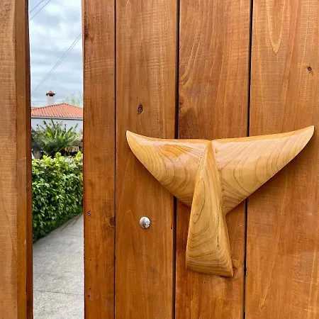 Azores Bagus Surf House Gæstehus *